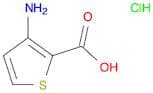 3-Amino-thiophene-2-carboxylic acid sodium salt
