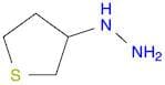 (thiolan-3-yl)hydrazine