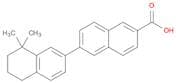 [2,2'-Binaphthalene]-6-carboxylic acid, 5',6',7',8'-tetrahydro-8',8'-dimethyl-