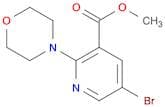 Methyl 5-bromo-2-morpholinonicotinate