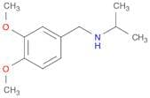 [(3,4-dimethoxyphenyl)methyl](propan-2-yl)amine
