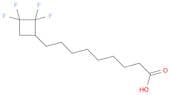 Cyclobutanenonanoic acid, 2,2,3,3-tetrafluoro-