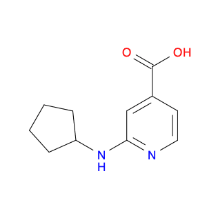 2-(Cyclopentylamino)isonicotinic acid
