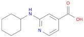 2-(Cyclohexylamino)isonicotinic acid