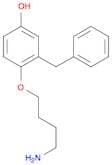 Phenol, 4-(4-aminobutoxy)-3-(phenylmethyl)-