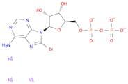 Adenosine 5'-(trihydrogen diphosphate), N-bromo-, disodium salt (9CI)