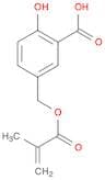 2-Hydroxy-5-[[(2-methyl-1-oxo-2-propen-1-yl)oxy]methyl]benzoic acid