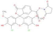 6-Carboxy-4',5'-dichloro-2',7'-dimethoxyfluorescein N-hydroxysuccinimide ester