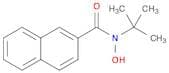2-Naphthalenecarboxamide, N-(1,1-dimethylethyl)-N-hydroxy-