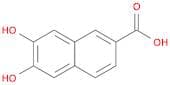 2-​Naphthalenecarboxyli​c acid, 6,​7-​dihydroxy-