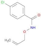 Benzamide, 4-chloro-N-(2-propen-1-yloxy)-