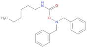 Benzenemethanamine, N-[[(hexylamino)carbonyl]oxy]-N-(phenylmethyl)- (9CI)
