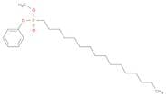 Phosphonic acid, hexadecyl-, methyl phenyl ester (9CI)