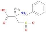 Alanine, 2-methyl-3-[(phenylmethyl)sulfonyl]-