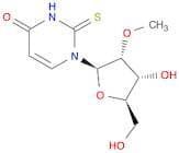 2’-O-Methyl-2-thiouridine