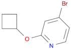 4-Bromo-2-cyclobutoxypyridine
