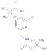 tert-Butyl (6-chloro-5-pivalamidopyridin-2-yl)-methylcarbamate