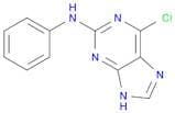 9H-Purin-2-amine, 6-chloro-N-phenyl-