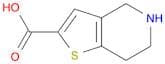 4,5,6,7-Tetrahydrothieno[3,2-c]pyridine-2-carboxylic acid