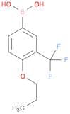 Boronic acid, B-[4-propoxy-3-(trifluoromethyl)phenyl]-