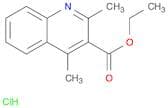 ethyl 2,4-dimethylquinoline-3-carboxylate hydrochloride