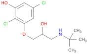 Phenol, 2,5-dichloro[3-[(1,1-dimethylethyl)amino]-2-hydroxypropoxy]- (9CI)