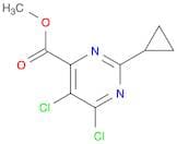 Methyl 5,6-dichloro-2-cyclopropylpyrimidine-4-carboxylate