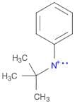 Aminylium, (1,1-dimethylethyl)phenyl-
