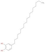 1,2-Benzenediol, 4-octadecyl-