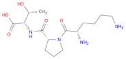 Lys-D-Pro-Thr