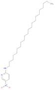 2-Pyridinamine, N-docosyl-5-nitro-