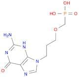 Phosphonic acid, [[3-(2-amino-1,6-dihydro-6-oxo-9H-purin-9-yl)propoxy]methyl]- (9CI)