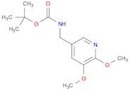 tert-Butyl (5,6-dimethoxypyridin-3-yl)-methylcarbamate