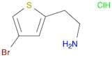 2-(4-Bromothiophen-2-Yl)Ethanamine Hydrochloride