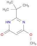 2-(tert-Butyl)-6-methoxypyrimidin-4(1H)-one