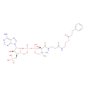 Coenzyme A, S-benzenepropanoate