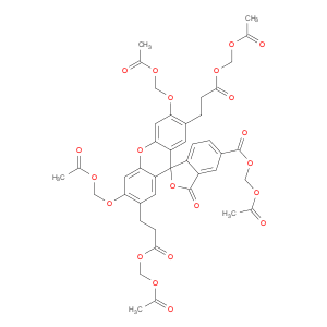 Spiro[isobenzofuran-1(3H),9'-[9H]xanthene]-2',7'-dipropanoic acid, 3',6'-bis(acetyloxy)-5(or 6)-[[…