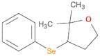 Furan, tetrahydro-2,2-dimethyl-3-(phenylseleno)-