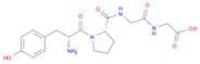 Glycine, N-[N-(1-D-tyrosyl-L-prolyl)glycyl]- (9CI)