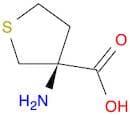3-aminotetrahydrothiophene-3-carboxylic acid