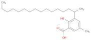 Benzoic acid, 2-hydroxy-5-methyl-3-(1-methylpentadecyl)-