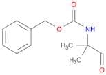 2,2-Dimethyl-3-oxo-1-phenylpropyl carbamate