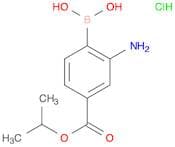 2-Amino-4-(isopropoxycarbonyl)phenylboronic acid, HCl