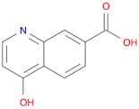 4-Hydroxyquinoline-7-carboxylic acid