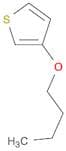 Thiophene, 3-butoxy-