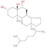 (3S,5R,6R,8S,9S,10R,13R,14S,17R)-10,13-Dimethyl-17-((R)-6-methylheptan-2-yl)hexadecahydro-1H-cyclo…