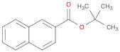 2-Naphthalenecarboxylic acid, 1,1-dimethylethyl ester