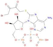 Adenosine 5'-(tetrahydrogen triphosphate), 8-[(4-bromo-2,3-dioxobutyl)thio]- (9CI)