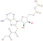 Adenosine 5'-(trihydrogen diphosphate), 8-[(4-bromo-2,3-dioxobutyl)thio]- (9CI)
