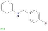 N-(4-Bromobenzyl)cyclohexanamine, HCl